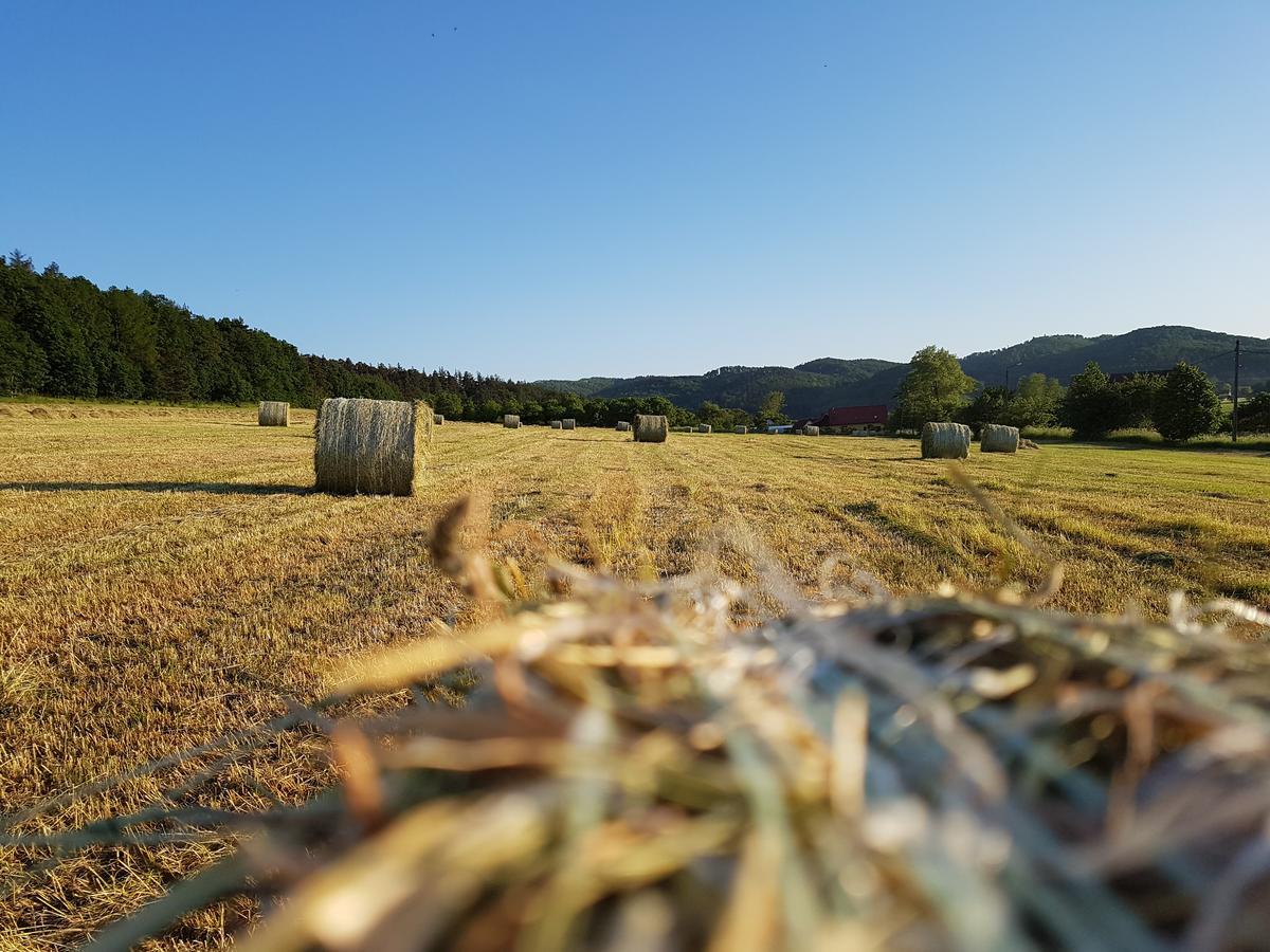 فيلا Folwark Leszczynowka Srebrna Góra المظهر الخارجي الصورة